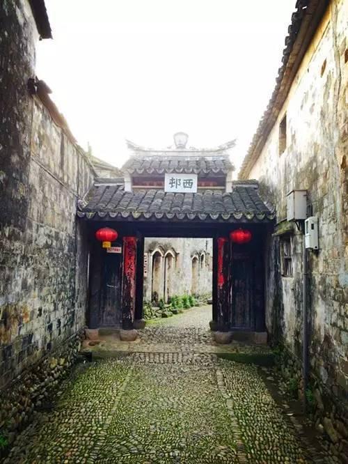 春晚惊现“辣妈”杨幂!与辛芷蕾同台斗艳,网友直呼:太养眼了!